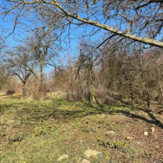 Prodej stavební parcely 1 821 m² Koryčany Jestřabice