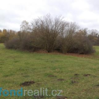 Prodej ostatního pozemku 4 319 m² Neurazy Klikařov