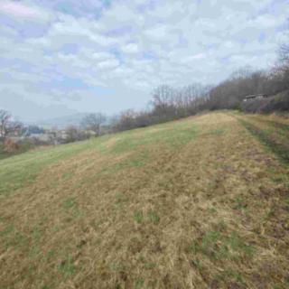 Prodej ostatního pozemku 7 394 m² Linhartice