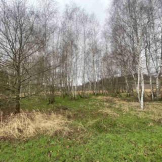 Prodej ostatního pozemku 10 244 m² Hosín Dobřejovice