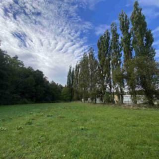 Prodej zemědělské půdy 6566 m² Dolní Bukovsko