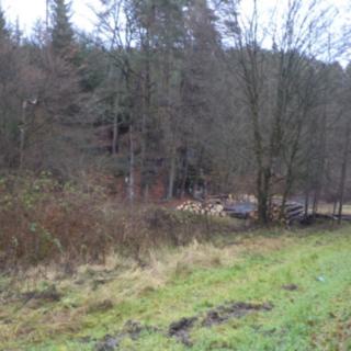Prodej ostatního pozemku 1 295 m² Doksy Žďár