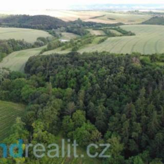 Prodej ostatních pozemků 4351 m² Újezdec
