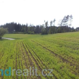 Prodej ostatního pozemku 5 035 m² Slavičín Divnice