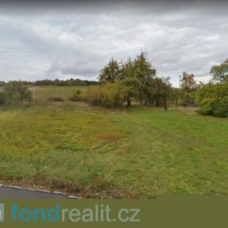 Prodej ostatního pozemku 10 923 m² Věšín