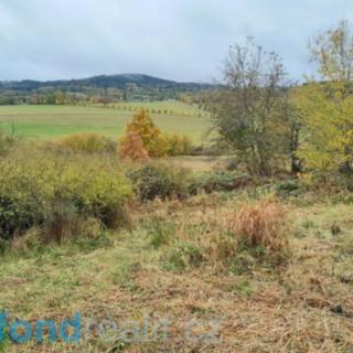 Prodej ostatního pozemku 4 183 m² Bušanovice