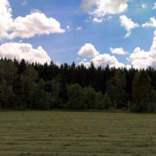 Prodej lesa 11 009 m² Benešov nad Černou