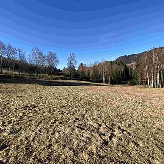 Prodej ostatního pozemku 11 266 m² Bernartice