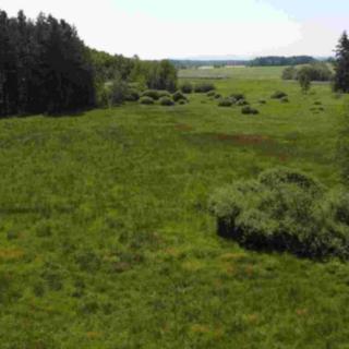 Prodej ostatních pozemků 20535 m² Jílovice