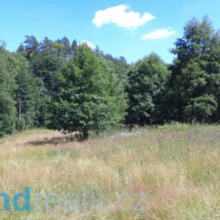 Prodej ostatního pozemku 19 744 m² Mařenice Mařeničky