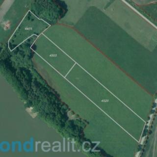 Prodej zemědělské půdy 77070 m² Třeboň