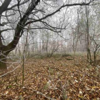 Prodej stavební parcely 2 192 m² Frýdlant Albrechtice u u