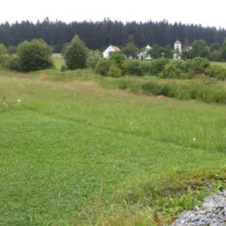 Prodej ostatního pozemku 2 148 m² Horní Radouň Starý Bozděchov