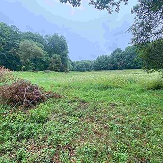 Prodej ostatních pozemků 3000 m² Úterý