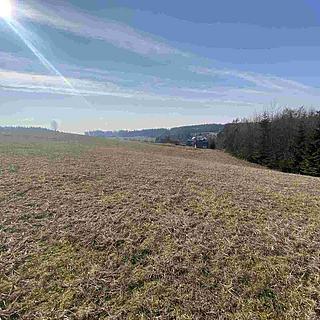 Prodej zemědělské půdy 14 397 m² Syřenov