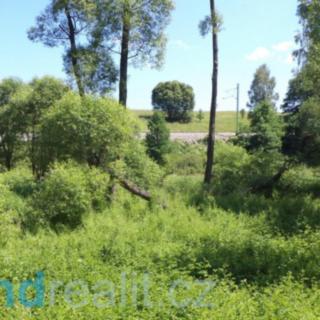 Prodej ostatního pozemku 18 903 m² Dolní Dvořiště Jenín