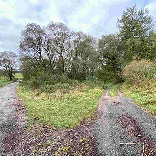 Prodej ostatního pozemku 10 042 m² Horní Dvořiště