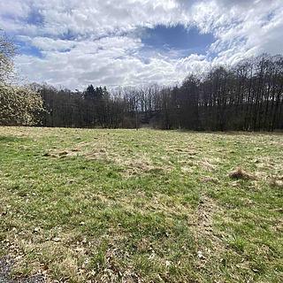 Prodej zemědělské půdy 692 m² Jablonné v Podještědí Lvová