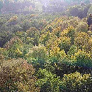 Prodej ostatního pozemku 543 m² Hrádek nad Nisou Dolní Sedlo