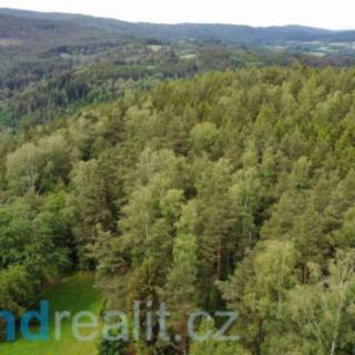 Prodej zemědělské půdy 6 969 m² Rejštejn