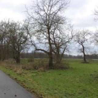 Prodej ostatních pozemků 3643 m² Hořín
