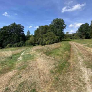 Prodej zahrady 2 258 m² Staré Město pod Landštejnem Vitíněves