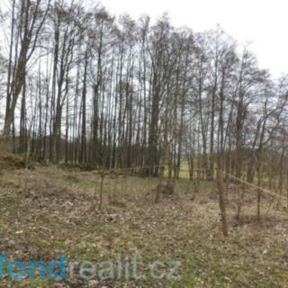 Prodej stavební parcely 1 221 m² Dolní Nivy Horní Rozmyšl