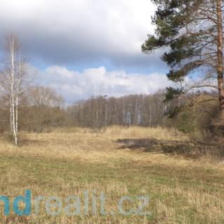 Prodej ostatního pozemku 3 184 m² Lužnice