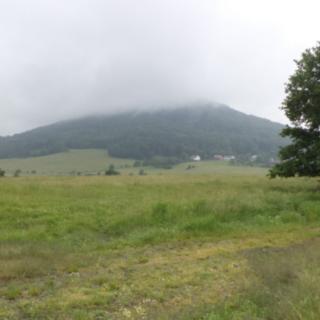 Prodej zemědělské půdy 4 685 m² Jablonné v Podještědí Pole