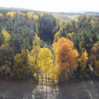 Prodej zemědělské půdy 3 817 m² Římov Dolní Stropnice
