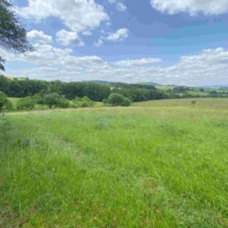 Prodej zemědělské půdy 728 m² Vizovice