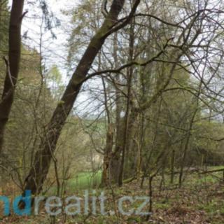 Prodej zemědělské půdy 1 208 m² Bělá nad Radbuzou Újezd Svatého Kříže