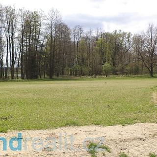 Prodej ostatních pozemků 6528 m&sup2; Stráž nad Nežárkou