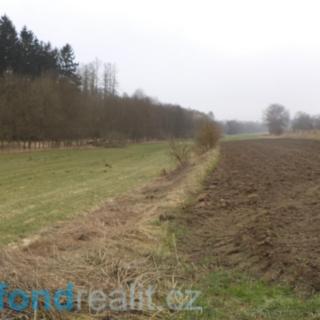 Prodej zahrady 705 m² Trhový Štěpánov Dalkovice