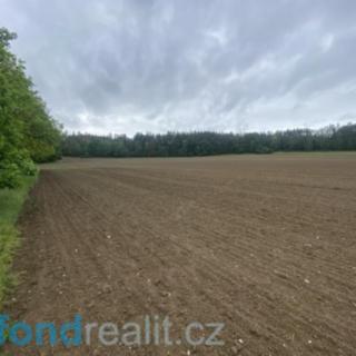 Prodej zemědělské půdy 22 823 m² Bojanovice Malá Lečice