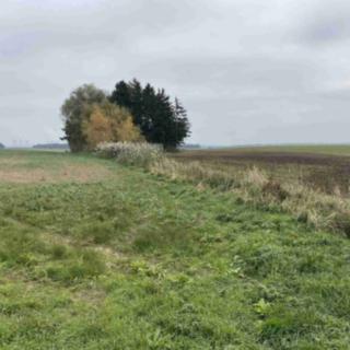 Prodej zemědělské půdy 984 m² Litovany