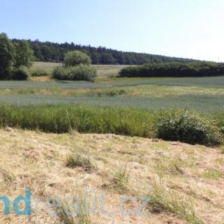 Prodej ostatního pozemku 3 046 m² Přeštěnice Držkrajov