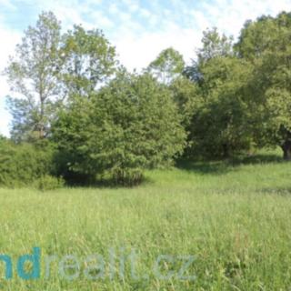 Prodej ostatního pozemku 15 764 m² Děčín XXXIV-Chlum