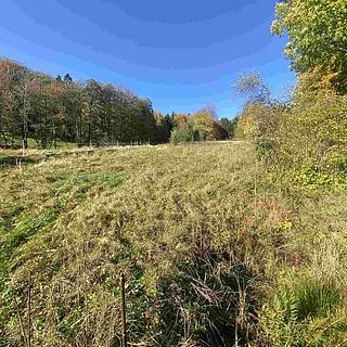 Prodej zemědělské půdy 1 384 m² Zdislava