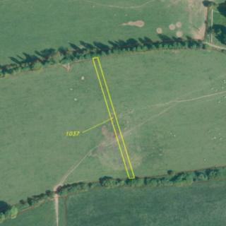 Prodej zemědělské půdy 1 168 m² Lipová Palič