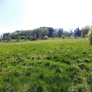 Prodej zemědělské půdy 34 107 m² Semily