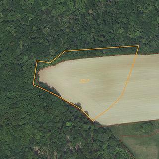 Prodej ostatního pozemku 10 460 m² Karlštejn