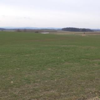 Prodej zemědělské půdy 2 330 m² Dříteň