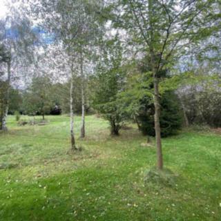 Prodej ostatního pozemku 780 m² Dolní Bukovsko Bzí