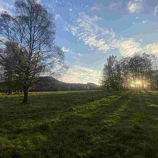 Prodej zemědělské půdy 16 894 m² Cvikov Trávník