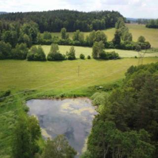 Prodej zemědělské půdy 26 834 m² Hospříz