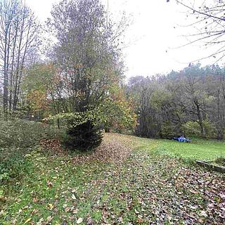 Prodej ostatních pozemků 1679 m&sup2; Hartmanice