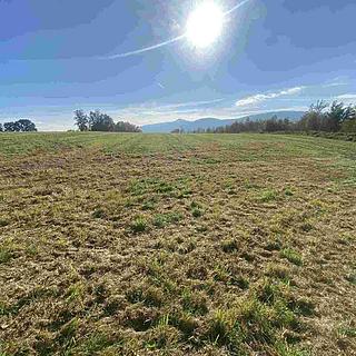 Prodej zemědělské půdy 236 m² Stráž nad Nisou