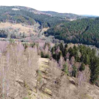 Prodej zemědělské půdy 3869 m² Kraslice