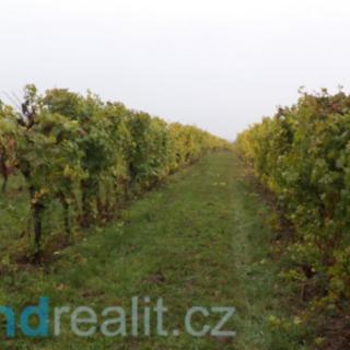 Prodej ostatních pozemků 4541 m² Morkůvky
